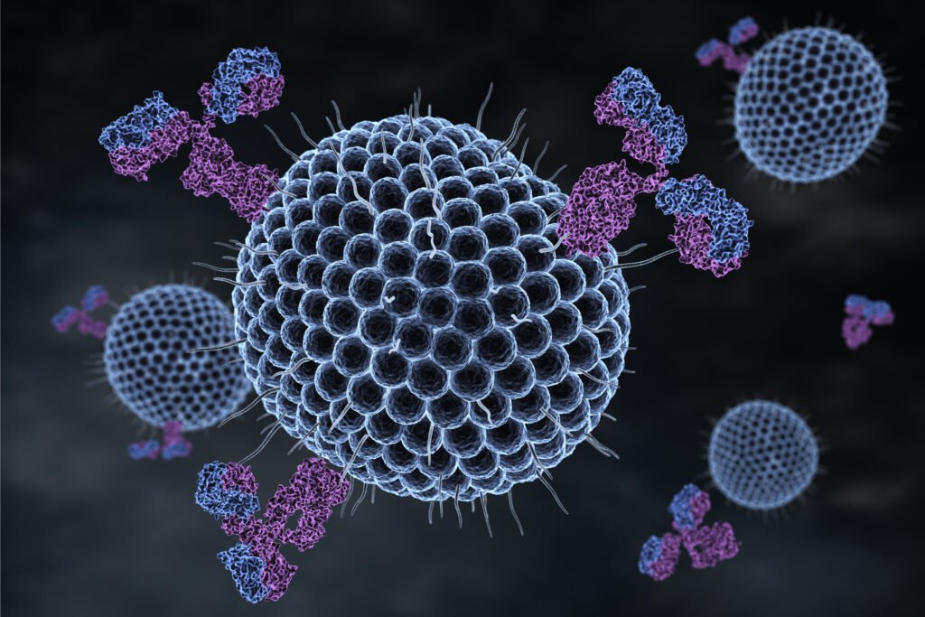 virus da herpes